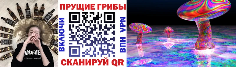 Галлюциногенные грибы ЛСД  Енисейск 